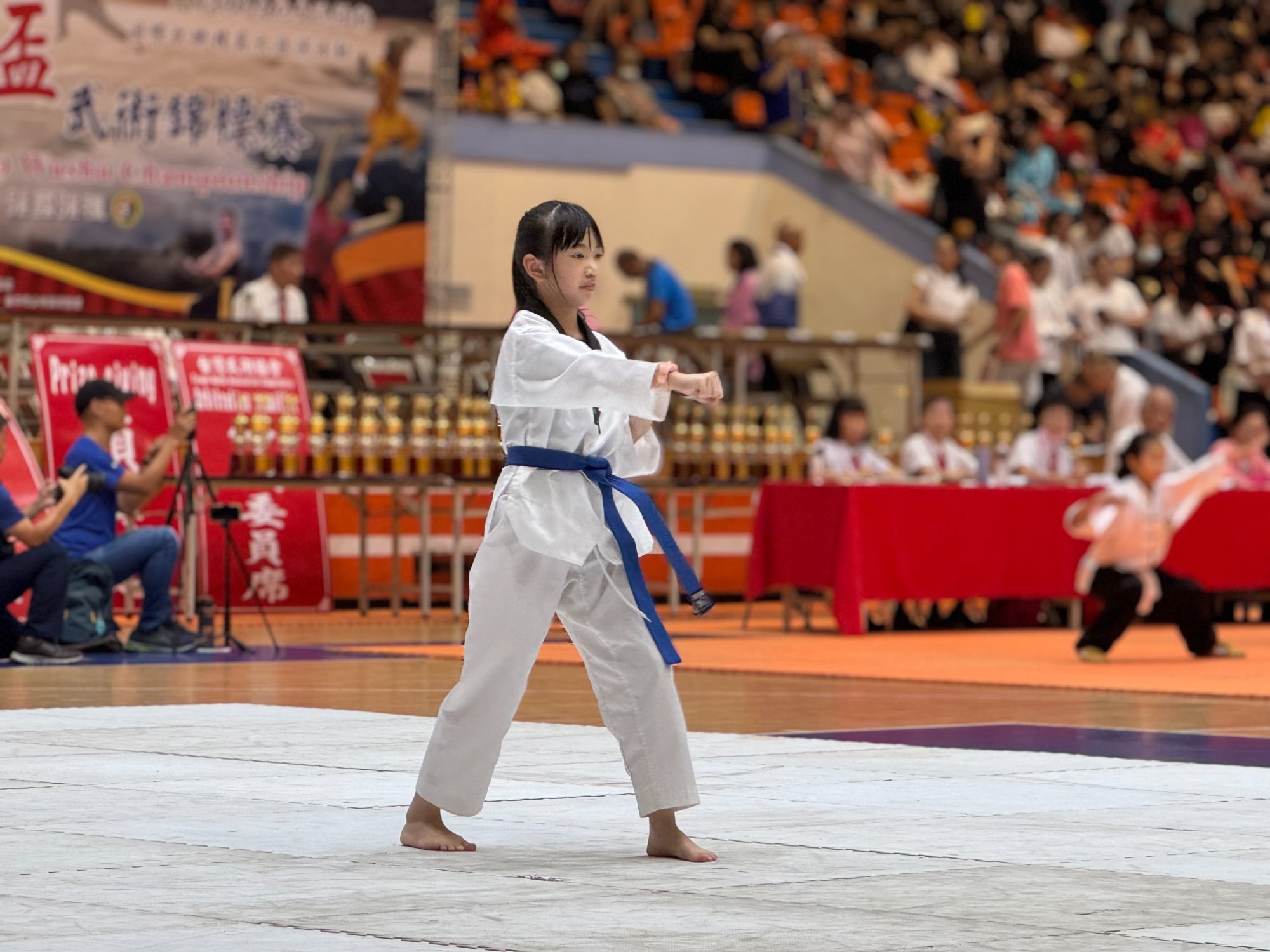 世界盃武術錦標賽