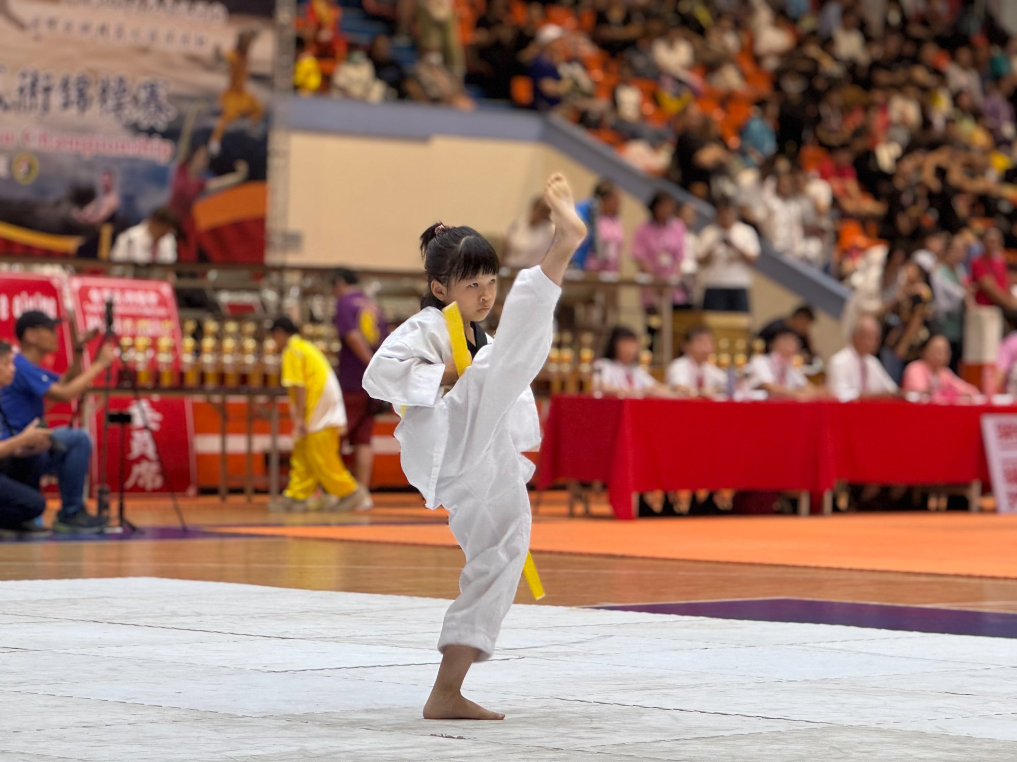 世界盃武術錦標賽