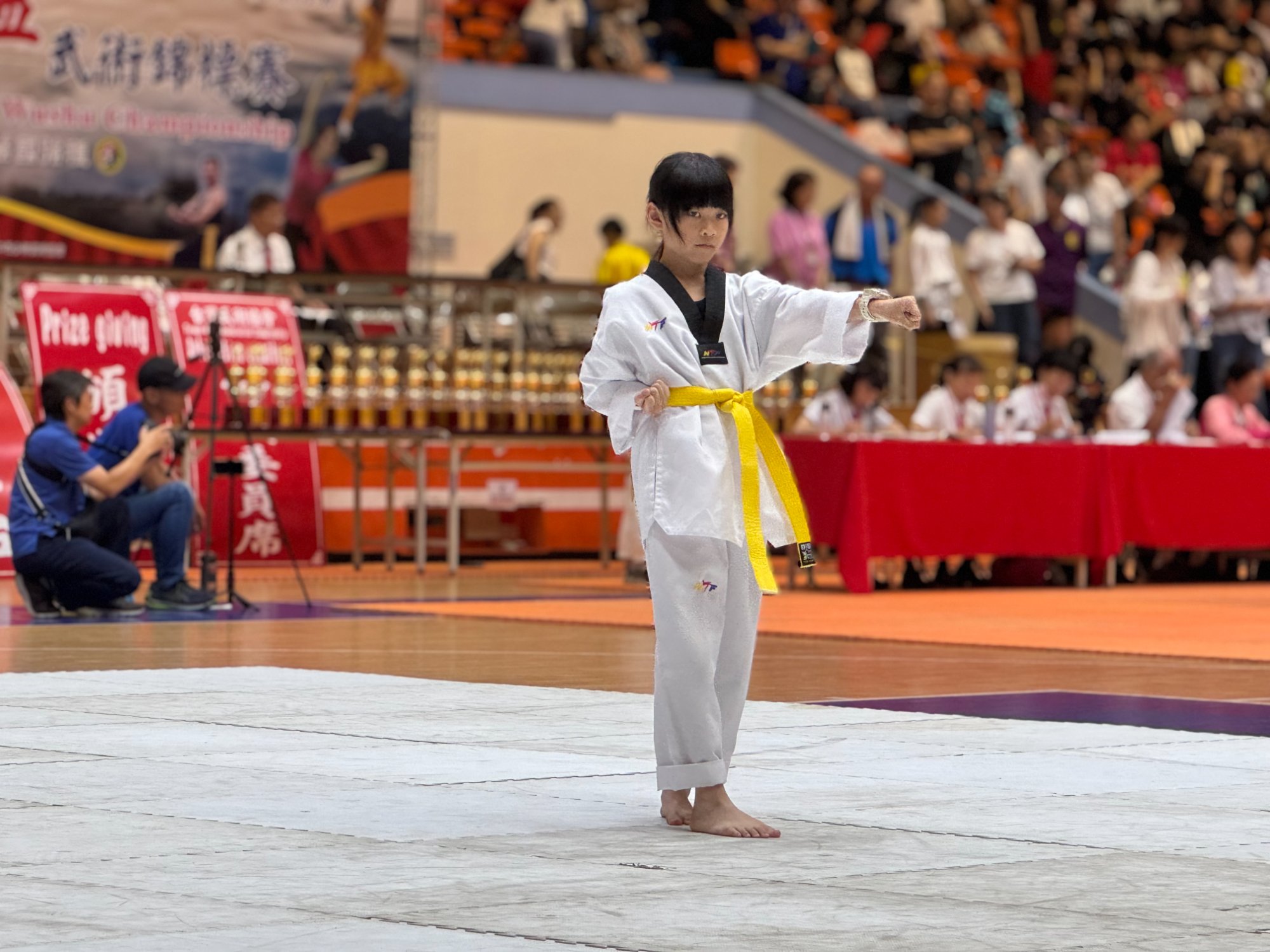 世界盃武術錦標賽