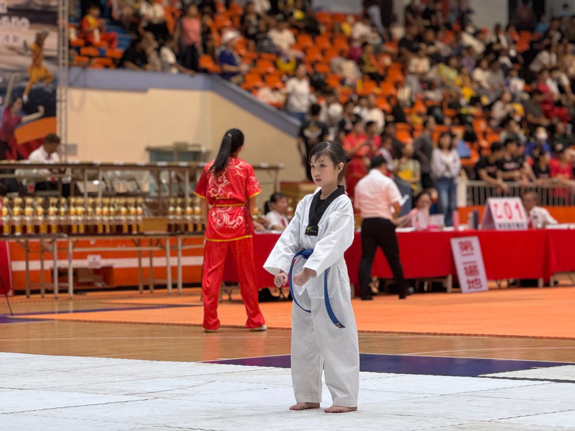 世界盃武術錦標賽