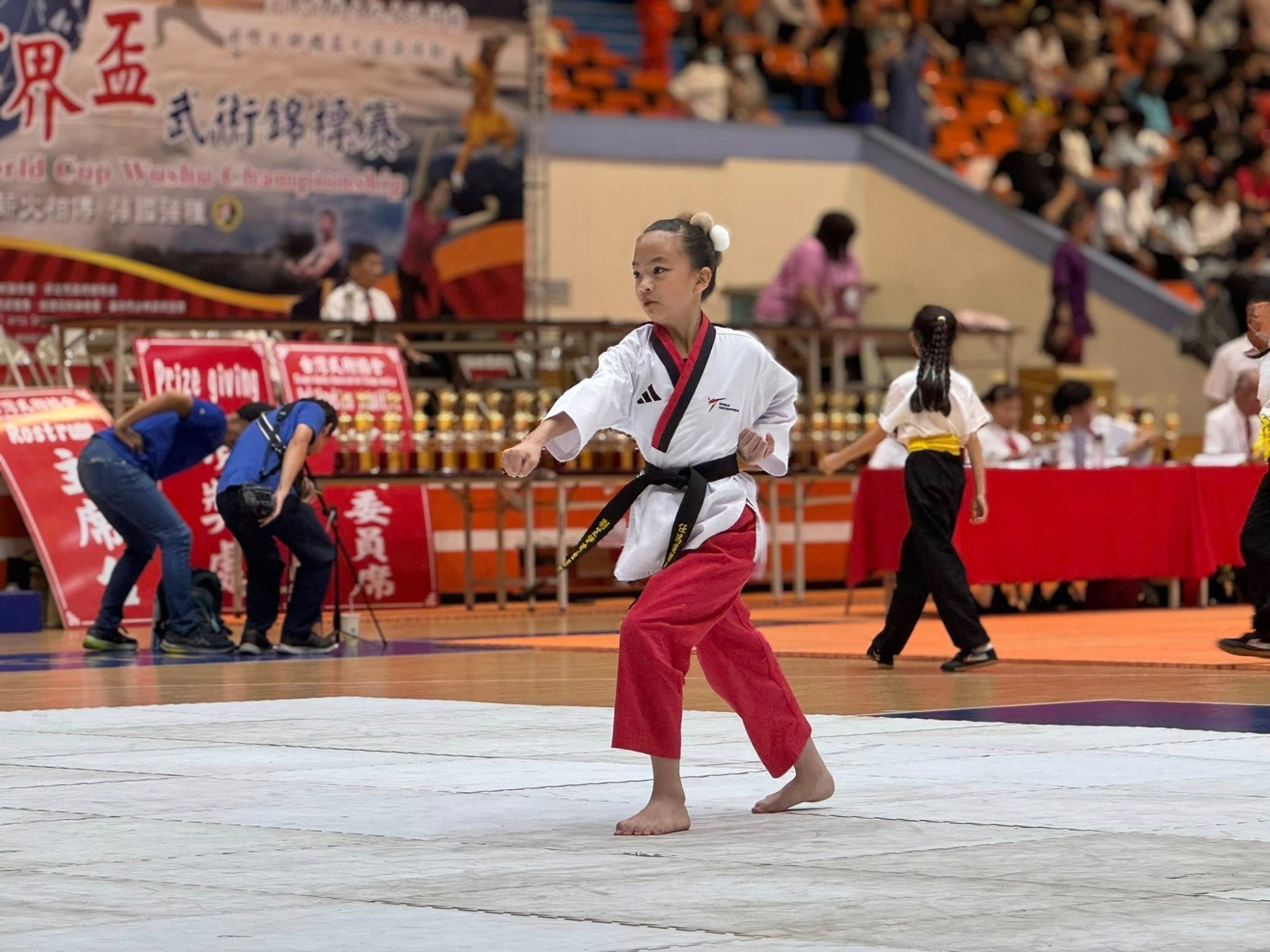世界盃武術錦標賽品勢2