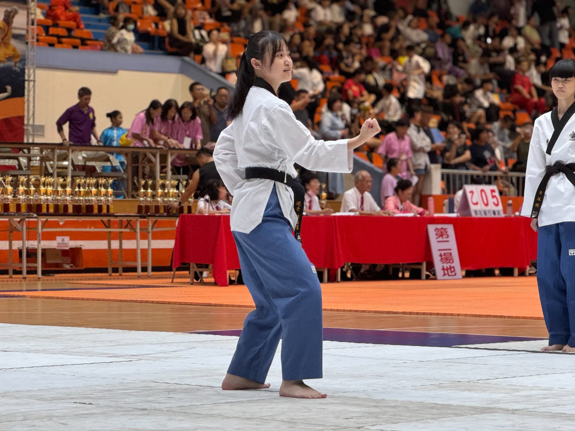 世界盃武術錦標賽