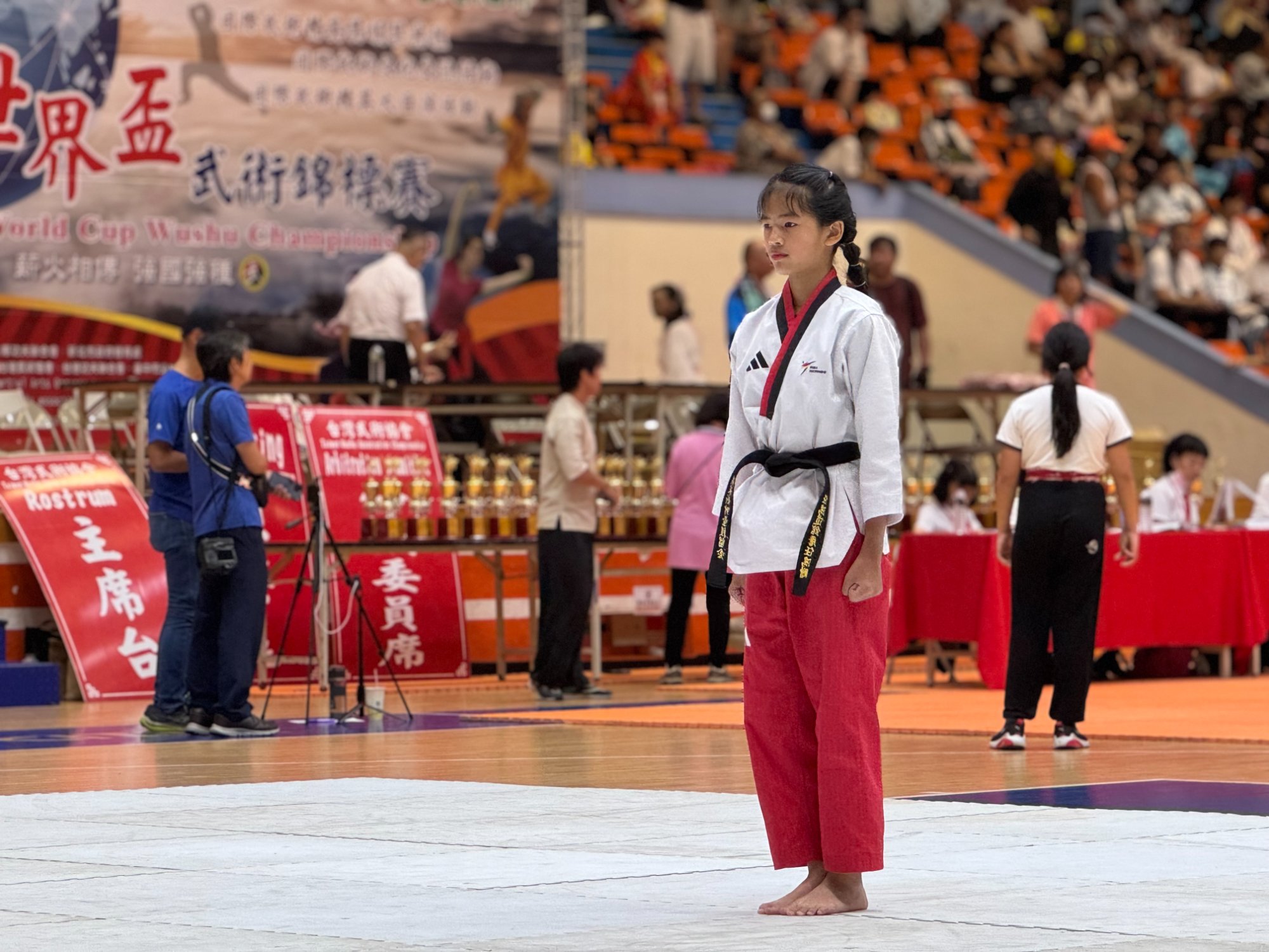 世界盃武術錦標賽