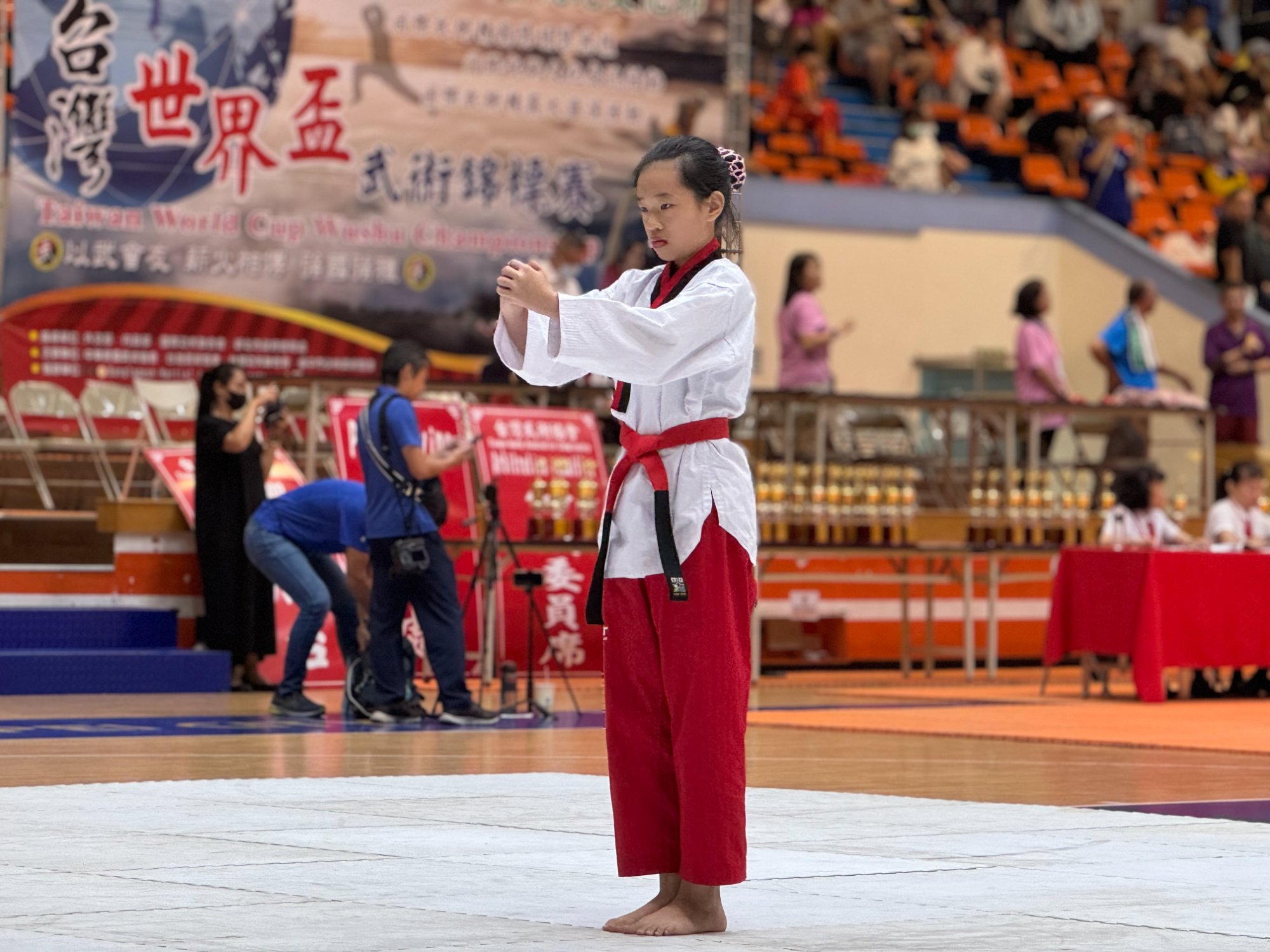 世界盃武術錦標賽